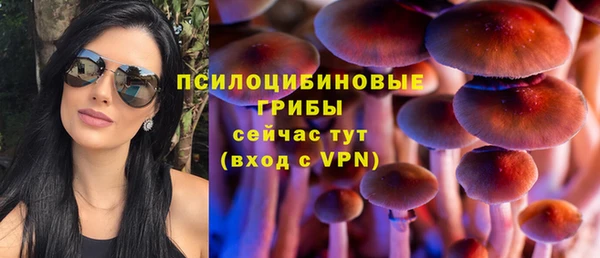 прущие крисы Верхний Тагил