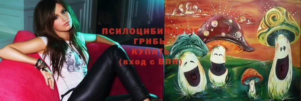 прущие крисы Верхний Тагил