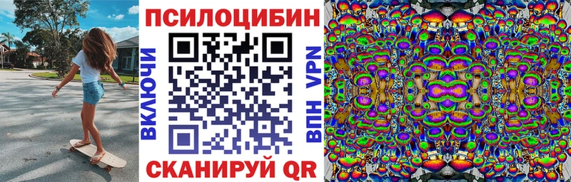 где купить   Якутск  Галлюциногенные грибы Magic Shrooms 